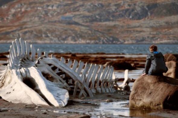 Leviathan: عن المواطن ضحية فساد الحكومة الروسية وتواطأ الكنيسة