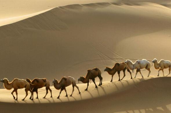 أغنى رجل في التاريخ... عاش في أفقر بقاع الأرض!  via @Lebanon24 
#lebanon24
